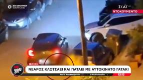 Κτηνωδία στην Καλαμαριά: Νεαρός κλωτσάει γατάκι και στη συνέχεια το πατάει με το αυτοκίνητό του