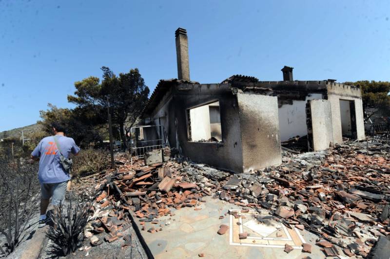 Ιστορίες χωρίς φωνή / Μην αφήνουμε τα ζώα να καίγονται μαζί με το δάσος