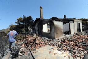 Ιστορίες χωρίς φωνή / Μην αφήνουμε τα ζώα να καίγονται μαζί με το δάσος