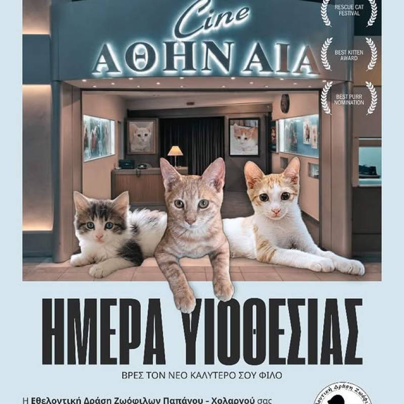 Εθελοντική Δράση Ζωοφίλων Παπάγου Χολαργού