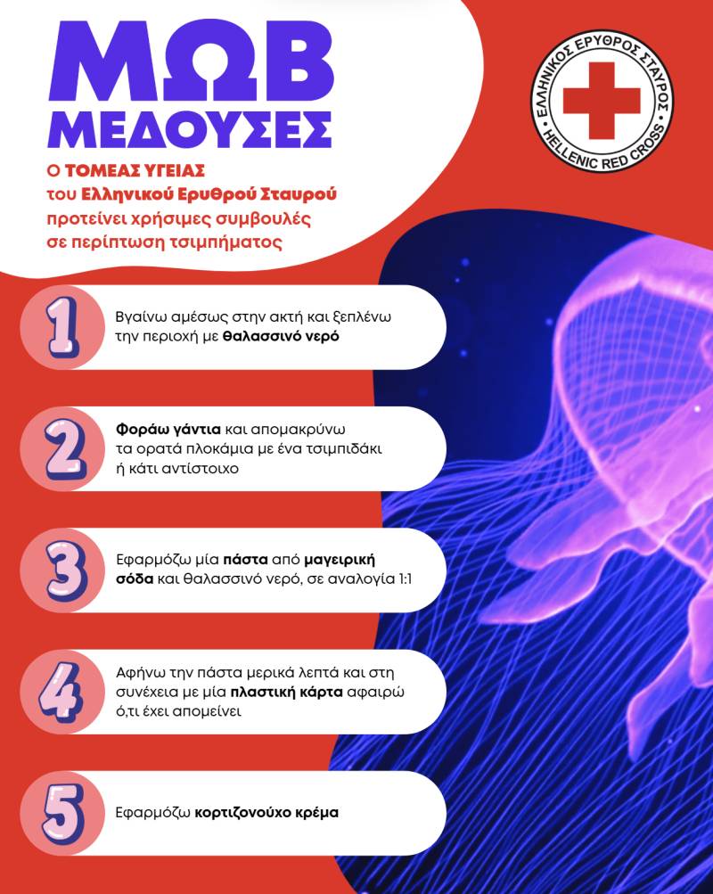 Ο Ελληνικός Ερυθρός Σταυρός προτείνει 8 χρήσιμες οδηγίες για την αντιμετώπιση τσιμπήματος από μωβ μέδουσα