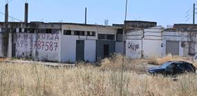 «Είμαι η Βασιλική Κωστοπούλου, Ελληνίδα αυτιστική, και μένω στο Άργος – την πόλη που πυροβολεί ανθρώπους σε πανικό»