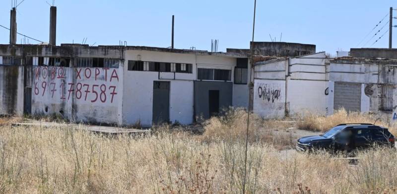«Είμαι η Βασιλική Κωστοπούλου, Ελληνίδα αυτιστική, και μένω στο Άργος – την πόλη που πυροβολεί ανθρώπους σε πανικό»