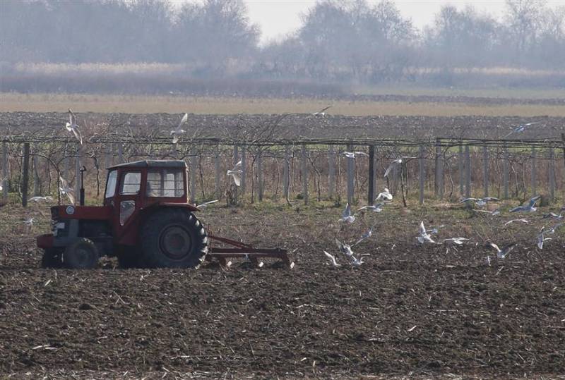 ΟΠΕΚΕΠΕ: Ένοχοι και οι 14 κατηγορούμενοι για παράνομες επιδοτήσεις - Ποινές έως 18 μήνες με αναστολή