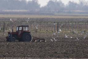 ΟΠΕΚΕΠΕ: Ένοχοι και οι 14 κατηγορούμενοι για παράνομες επιδοτήσεις - Ποινές έως 18 μήνες με αναστολή
