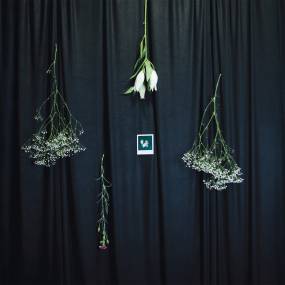 Bethnal Greener &quot;Πεδίο&quot; νέο single/video &amp; νέο album