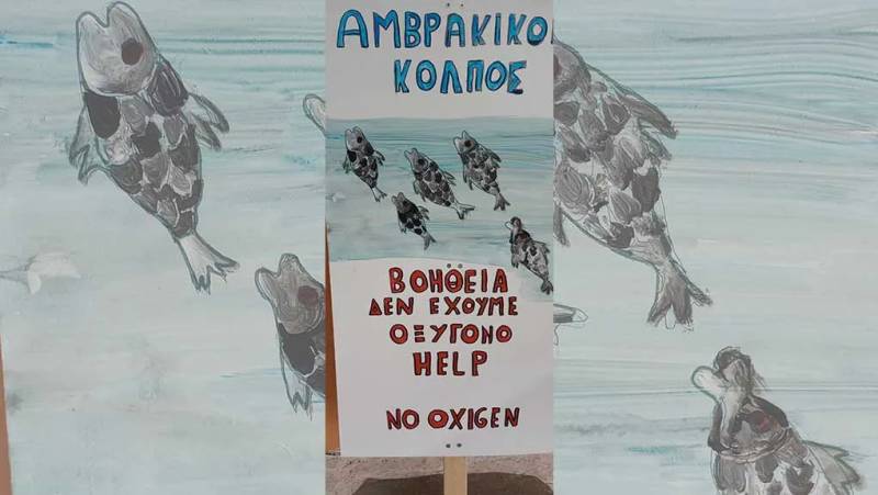 Σαράντα ένας φορείς εναντιώνονται στις ιχθυοκαλλιέργειες στον Αμβρακικό