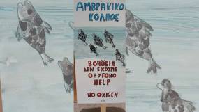 Σαράντα ένας φορείς εναντιώνονται στις ιχθυοκαλλιέργειες στον Αμβρακικό