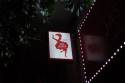 RED JASPER CABARET THEATRE || Ρεπερτόριο για τη σεζόν 2026-2027