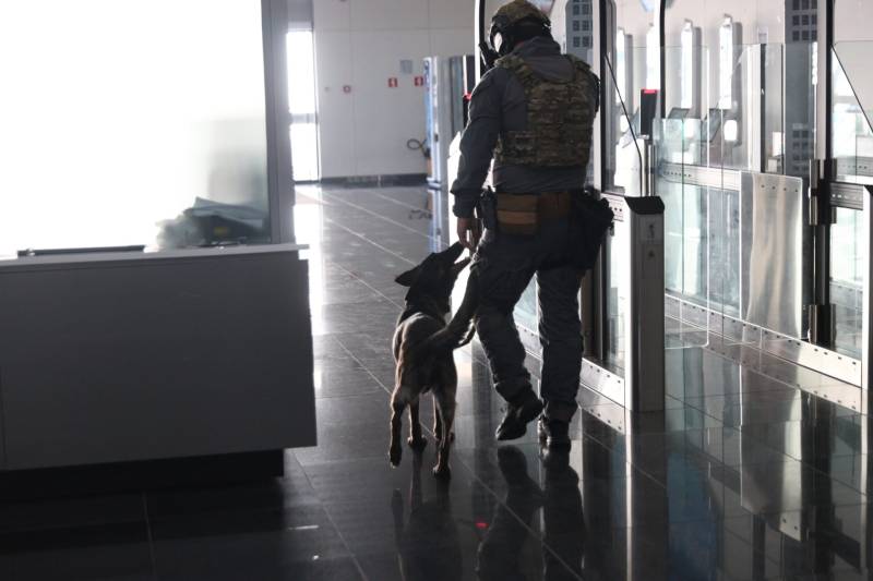 Επιχείρηση «ODIN»: Ομολόγησε ο 37χρονος ότι είναι μέλος της Χαμάς – Εκτιμήσεις για χτύπημα σε κρουαζιερόπλοιο