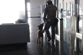 Επιχείρηση «ODIN»: Ομολόγησε ο 37χρονος ότι είναι μέλος της Χαμάς – Εκτιμήσεις για χτύπημα σε κρουαζιερόπλοιο