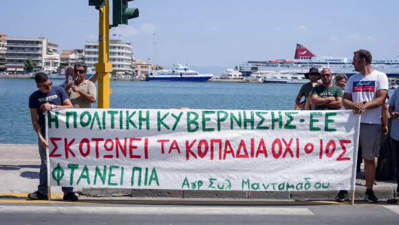 Αφθώδης πυρετός: Ο στρατός αναλαμβάνει τη διαχείριση της κρίσης στη Λέσβο